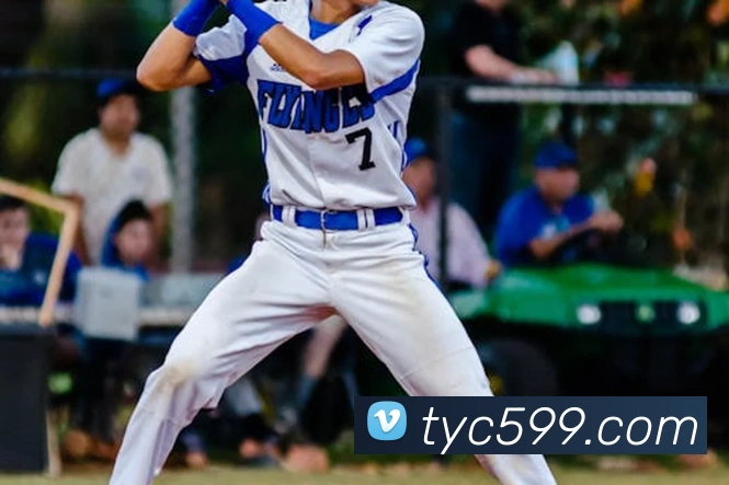 太阳城网站发展历程